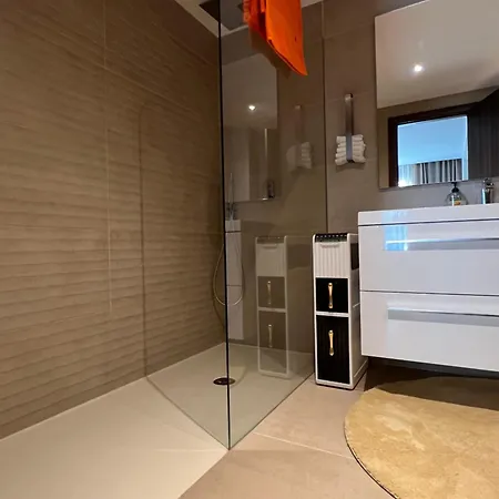 Luxury Apartment